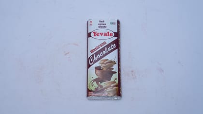 Mushroom Chocolate