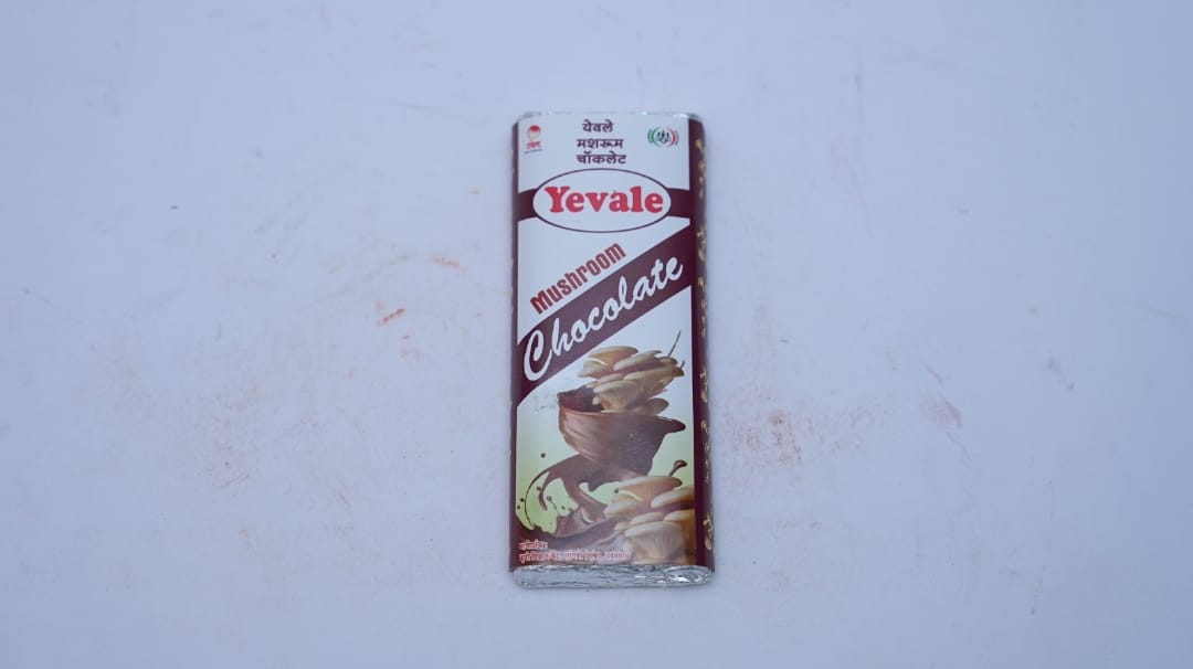 Mushroom Chocolate