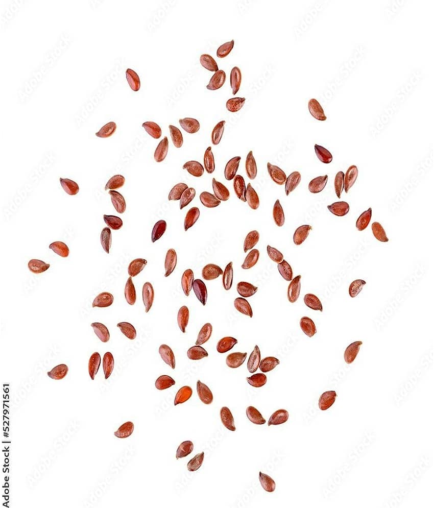 MYGODGIFT Flax Seeds | Alsi Seeds For Eating | Flax Seeds For Weight Management 200 gm