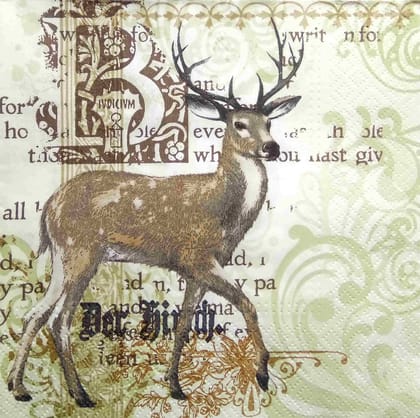 Decoupage Napkin / Tissue papers - GT2055