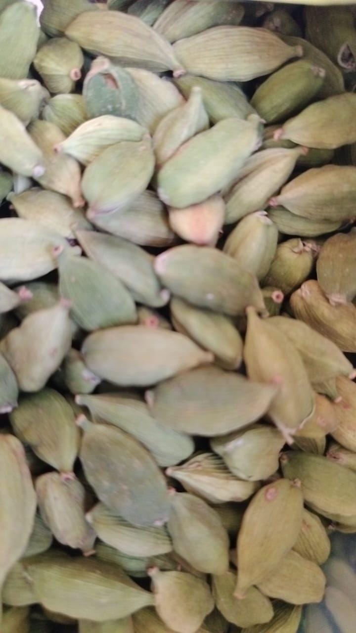 ELAICHI MEDIUM LOOSE