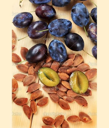 10 Seeds Witch Finger Grape Vine Seeds Juicy Fruit Seeds