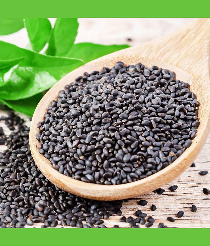 SundarLaxmi Basil Seeds ( Pack of 1 )