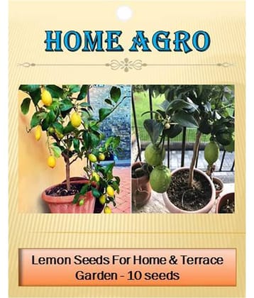 homeagro - Vegetable Seeds ( 10 seed )
