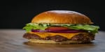 Burgerz