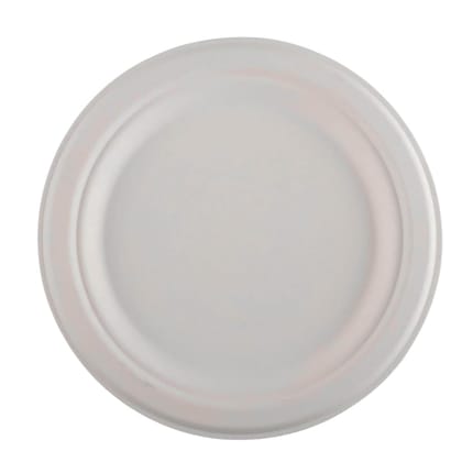 12"Round PLAIN Plate -Standard  Pack of 100