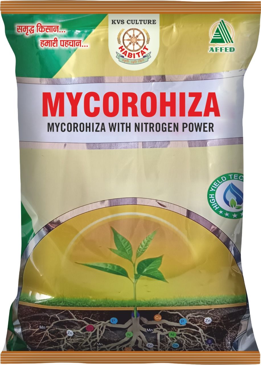 HT- MYCOROHIZA B.F. 3 KG