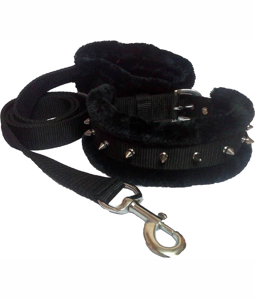 Petshop7 - Black Dog Combo (Large)