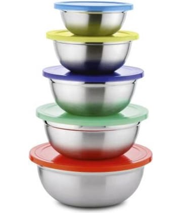 Classic Essentials CE502 Container Steel Multicolor Food Container ( Set of 5 )