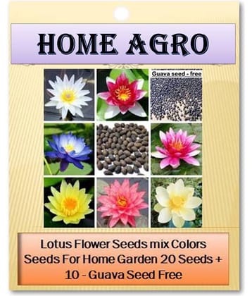homeagro - Flower Seeds ( 20 )