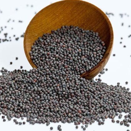 Musturd seeds 100 G Musturd seeds 100 G
