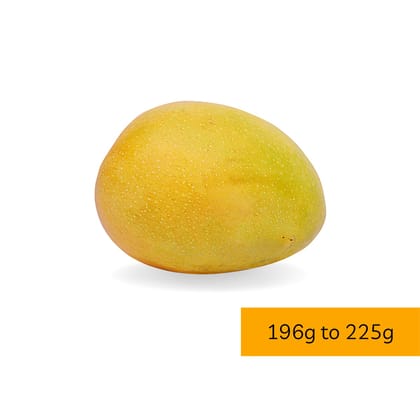 Topali Desi Delight Haapus Mangoes - Grade C (1 Dozen) | Sweet Ratnagiri Alphonso (196g - 225g) | Daily Delight