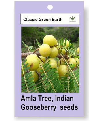 CLASSIC GREEN EARTH - Fruit Seeds ( Amla Tree, Indian Gooseberry Big Fruit 20 Seeds )