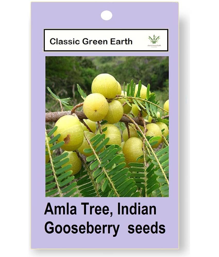 CLASSIC GREEN EARTH - Fruit Seeds ( Amla Tree, Indian Gooseberry Big Fruit 20 Seeds )
