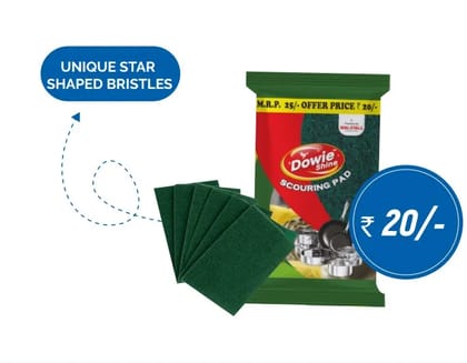 SCOURING PAD 1+1
