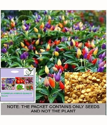 STOREFLIX Chilli Pepper Vegetable ( 25 Seeds )
