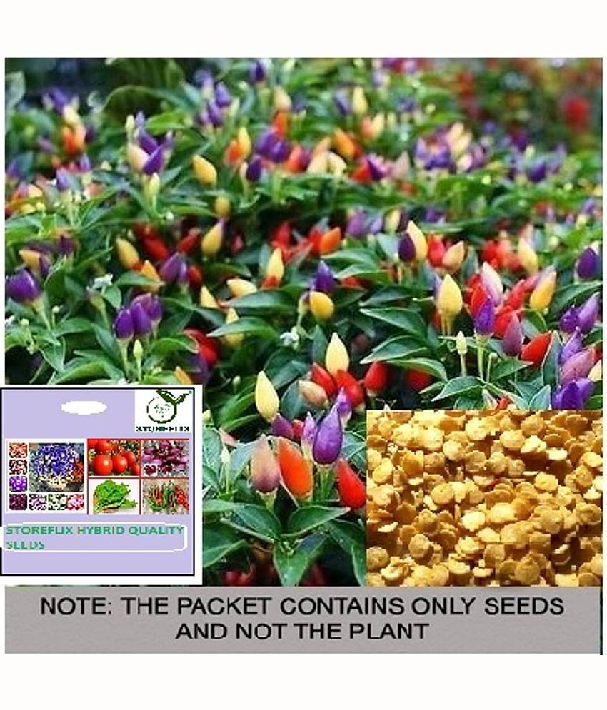 STOREFLIX Chilli Pepper Vegetable ( 25 Seeds )