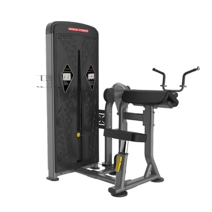 Biceps & Triceps Machine BU-0607