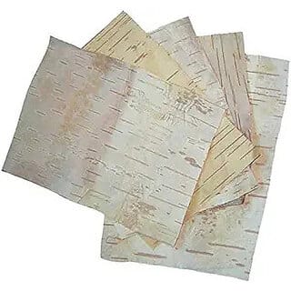 Astro ASTRO-D PoojanSamagri BHOJ PATRA / BETULA UTILIS / BHUYAPATRA, (Brown, Fiber)