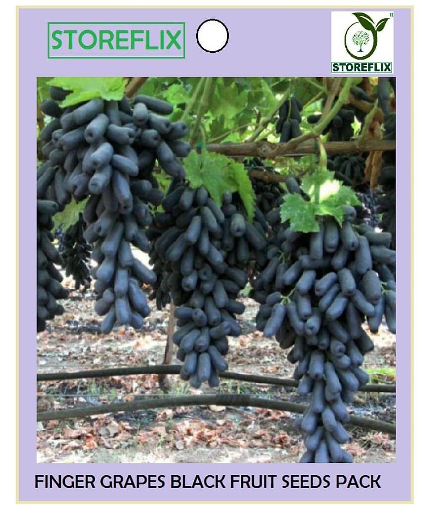 STOREFLIX - Black Grape Fruit ( 50 Seeds )