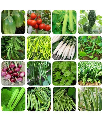 16 Variety ( 500 + seeds ) of Vegetable Seeds combo - with Instruction Manual