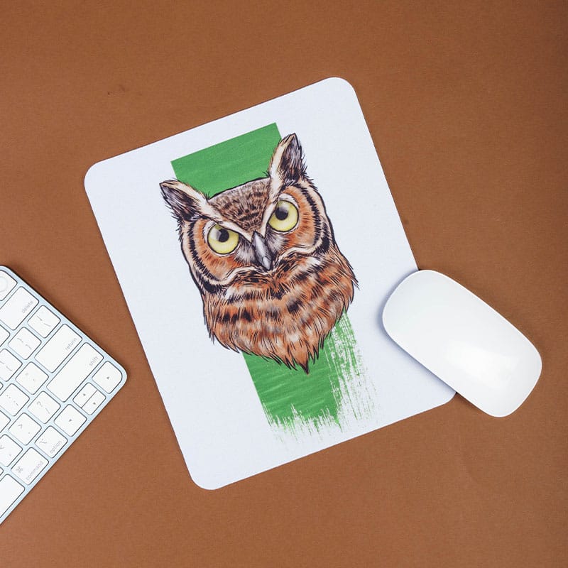 HP01MP  Owl