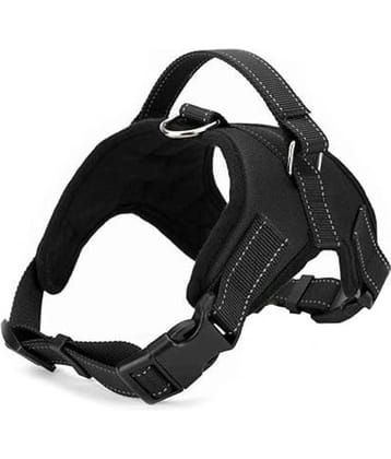 Petshop7 Blue Harness ( Large )