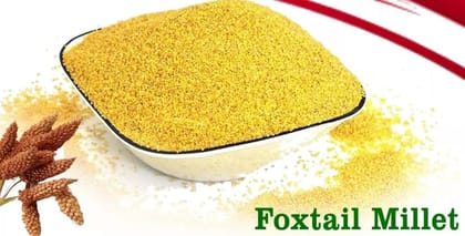 Kodli Kisan Foxtail Millet  1kg | Gluten-Free Supergrain, High-Fiber & Naturally Grown