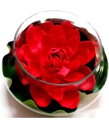 Green plant indoor Lotus Red Flowers With Pot - Pack of 1
