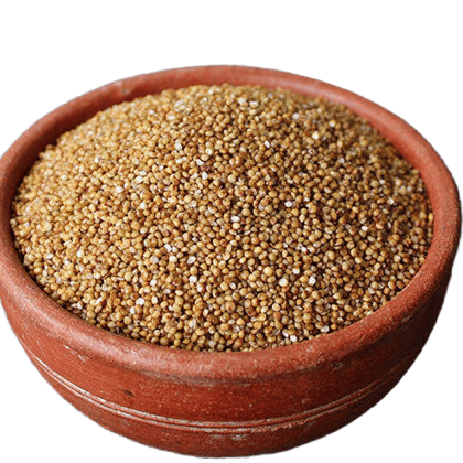 Kodo Millet 500 grams