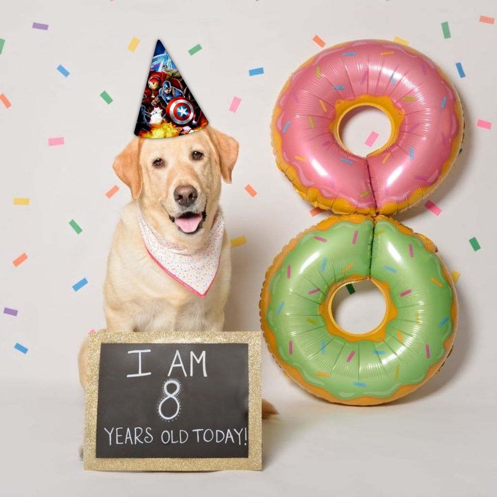 Avenger Theme Birthday Paper Caps/Hats - 8PC