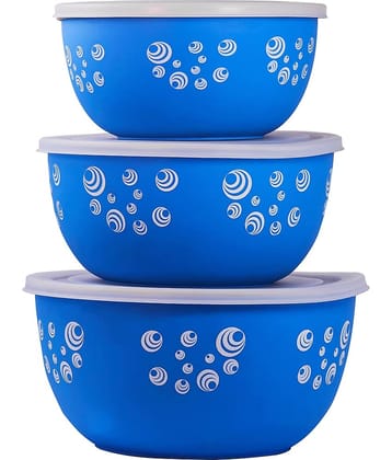 BOWLMAN Steel Food Container Set of 3 3000 mL