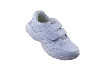 Titas Boys Velcro White School Shoe (12 years and above)-Silver/White / 10