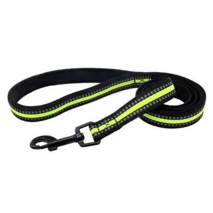 Radium Leash 1 inch 25mm (Lime) Radium Leash 1 inch 25mm (Lime)