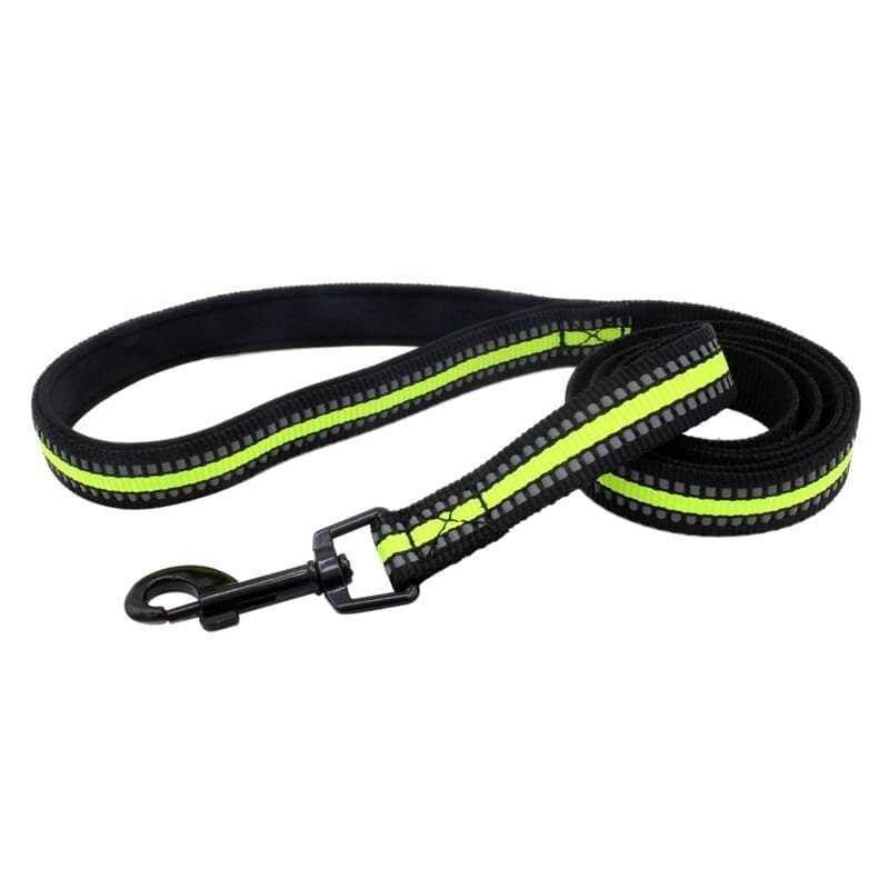 Radium Leash 1 inch 25mm (Lime)