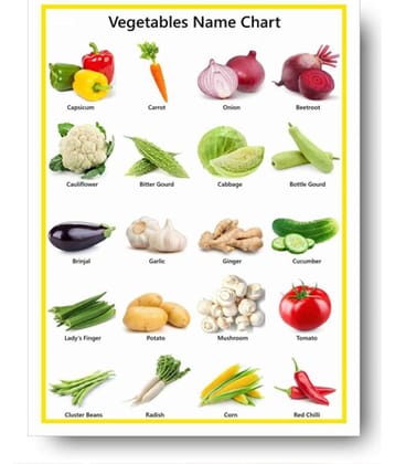 Photojaanic Vegetables Poster Perfect For Kindergarten, Nursery and Homeschooling (16X12inc, 300GSM Thick Paper, Gloss Laminated, Multicolor)