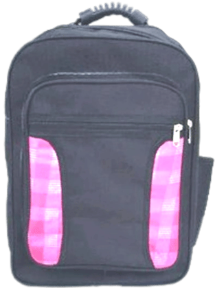 Trendy School Backpack for Students