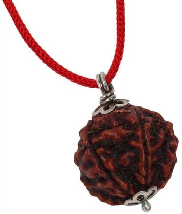 Astrodidi 5 Mukhi Rudraksha With Silver Pendant With Lab Certificate