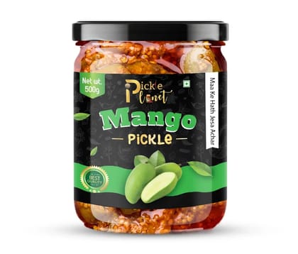 Pickle Planet Mango Pickle | Homemade Pickle | Authentic, Tangy & Delicious Pickle | No Artificial Color and Flavors | Gluten Free | Aam ka achar (500g)