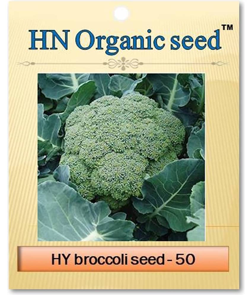 homeagro - Vegetable Seeds ( 20 )