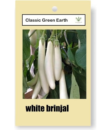 CLASSIC GREEN EARTH - Vegetable Seeds ( Brinjal White Oblong long, 50 Seeds )