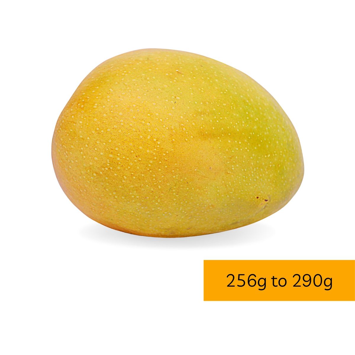 Topali Desi Delight Haapus Mangoes - Grade A (1 Dozen) | Premium Ratnagiri Alphonso (256g - 290g) | Naturally Ripened