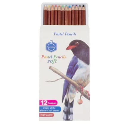 12 Colors Soft Pastel Pencils for Art and Craft-Soft pastel