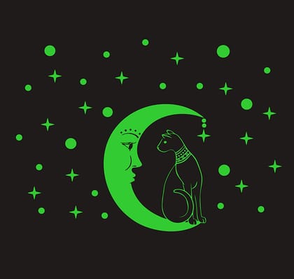 DreamKraft Glow in The Dark Galaxy of Stars with Moon Radium Night Glow Stickers