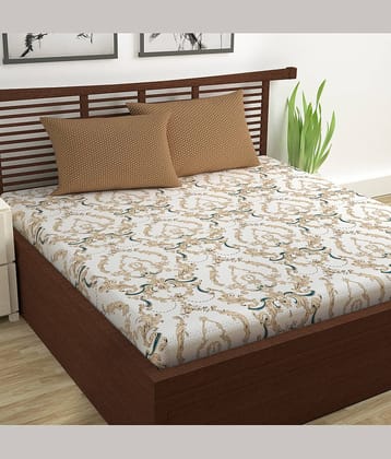 DIVINE CASA Cotton Double Bedsheet ( Beige )