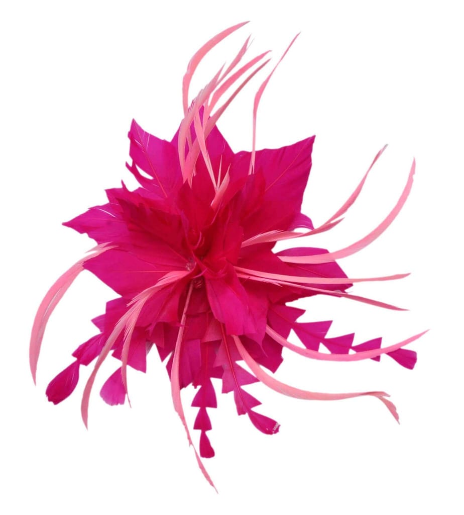 Wanna Party Feather Hair Fancy CliP Pink - Party and Festive Needs | Buy online on ZillyBuy