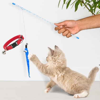BURAQ Interactive Cat Plastic Toy with Bell Help Your Cats Keep Active | Playing | Training | Plastic Stick | Teaser Toy for Cats & Other Pets (Cat Plastic Teaser Toy)