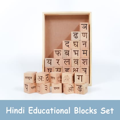 Hindi Multifunctional Educational Blocks Set Toys (4-In-1)