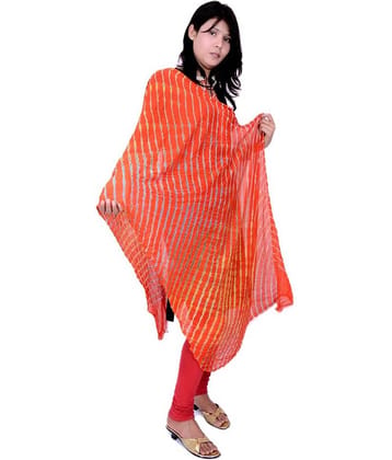 Apratim Red Georgette Leheria Dupatta