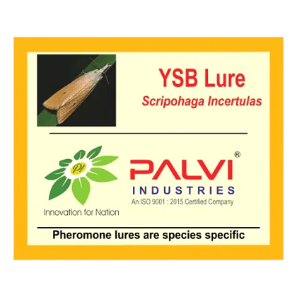 Yellow stem borer  by Palvi industries